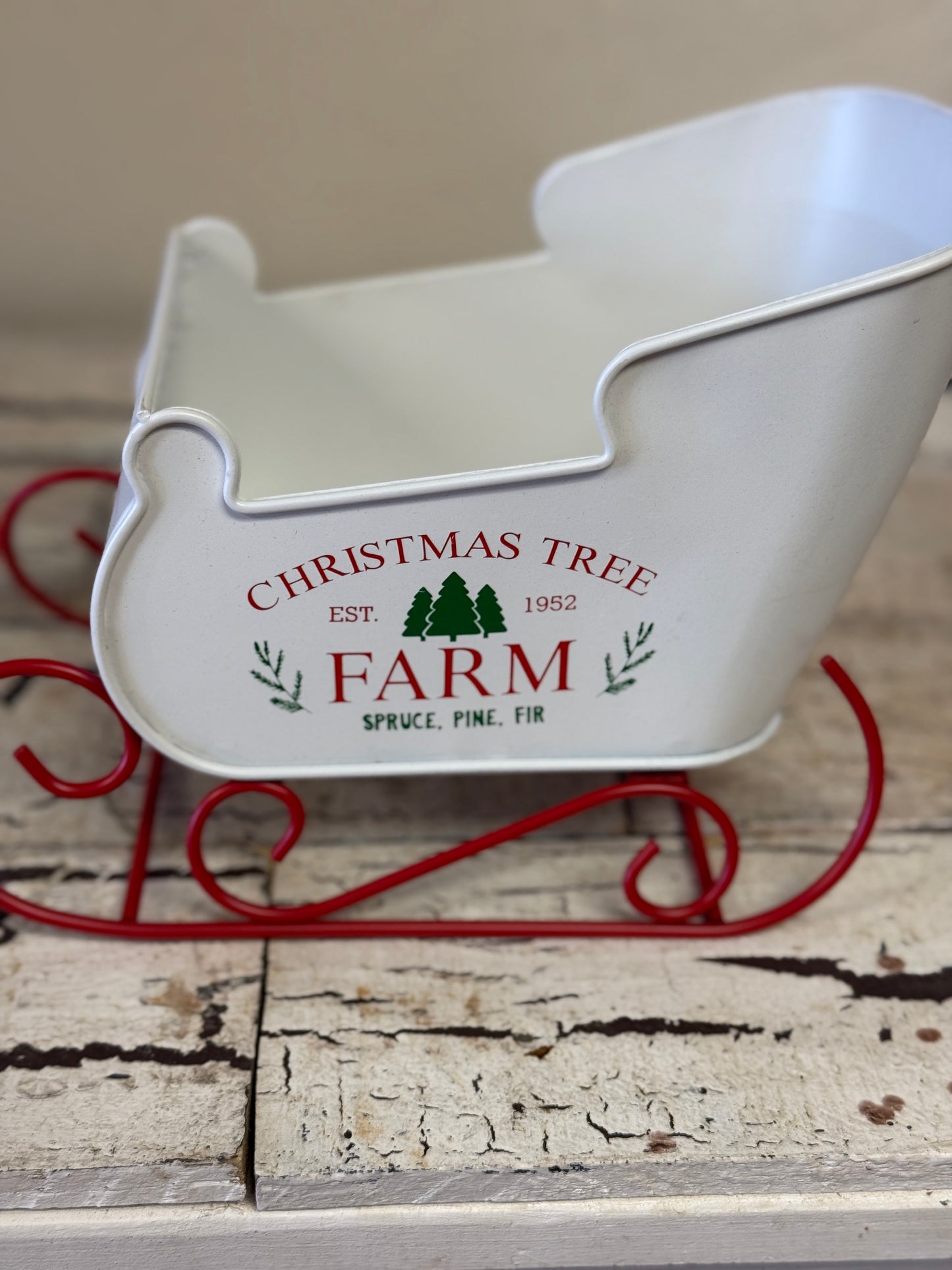 Snow What Fun Bouquet