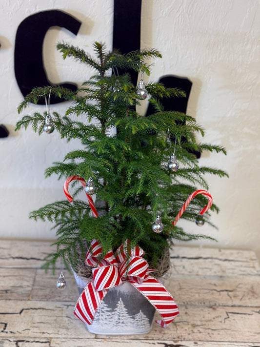 Mini Christmas Tree